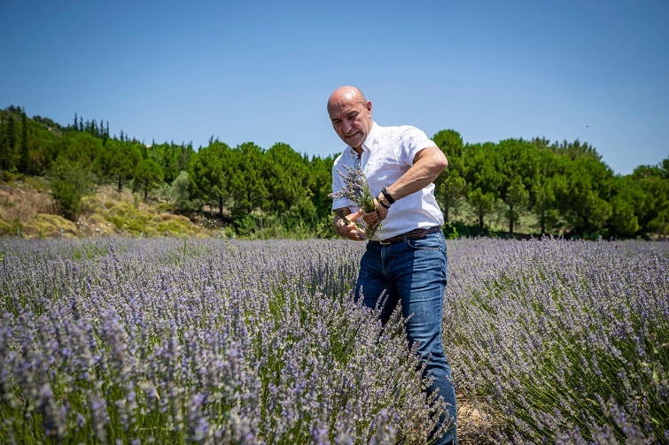 Başkan Tunç Soyer Seferihisar’daki ilk lavanta hasadına katıldı