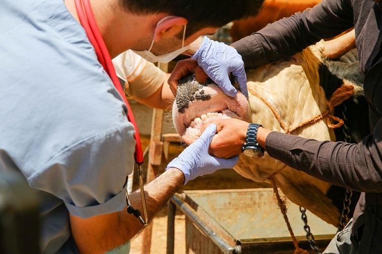 Buca’nın kurban pazarları denetlendi