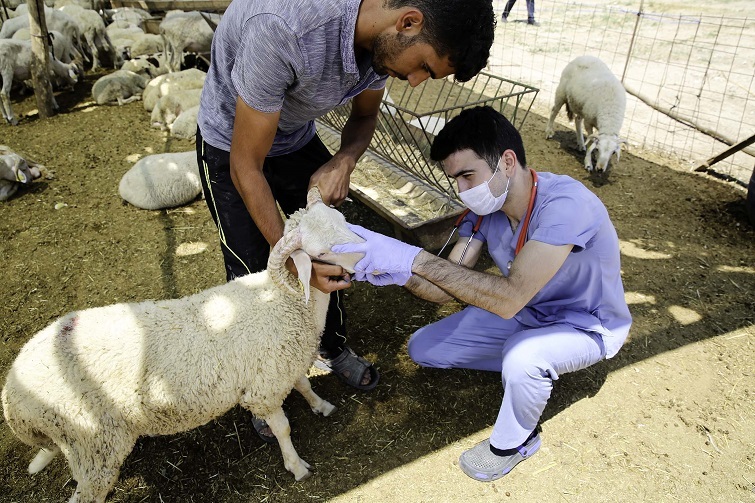 Buca’nın kurban pazarları denetlendi