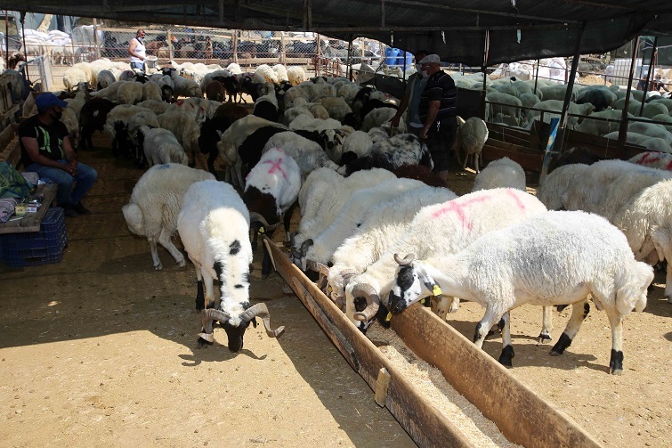 Karabağlar’da sosyal mesafeli satış