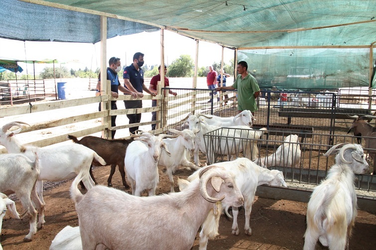 Menderes’te kurban satış yerleri hazır
