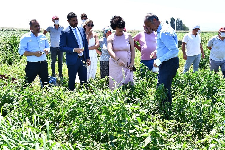 Büyükşehir’den istiridye mantarı üretimine destek