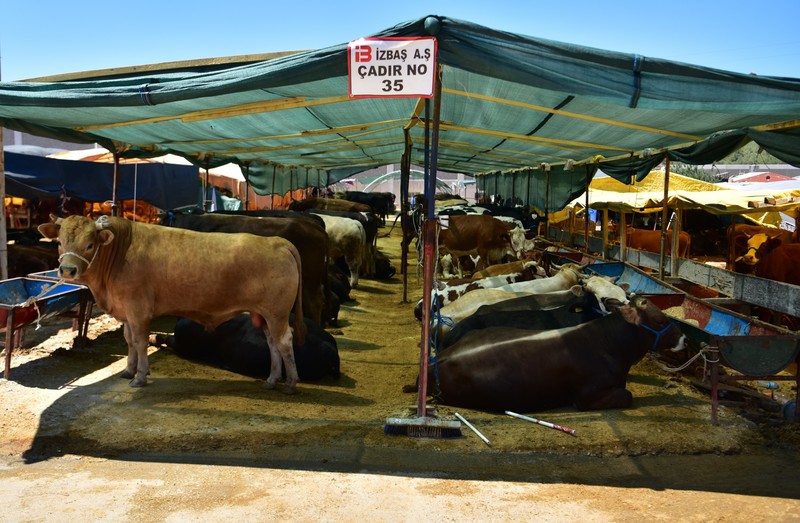 Bornova Kurban Bayramı’na hazır
