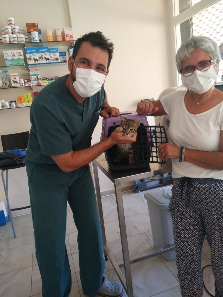 Narlıdere’de can dostlar sahipsiz değil!