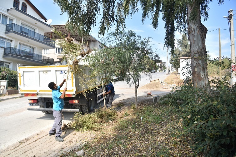 Büyükşehir Belediyesi ile birlikte Kudurgan Deresi çiçek gibi