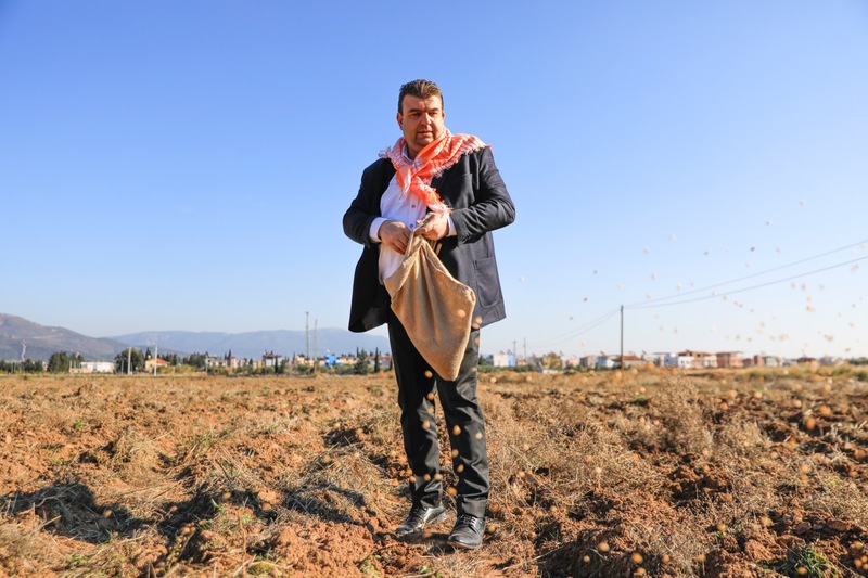 Atalık Karakılçık Buğday ekimi başladı