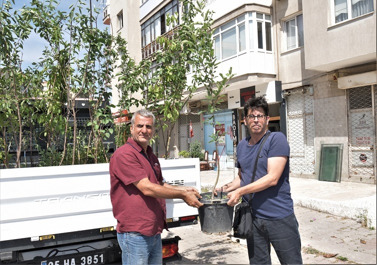 Bornovalılara ücretsiz meyve fidanı