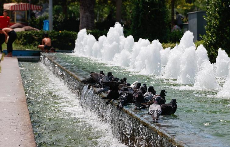 54788