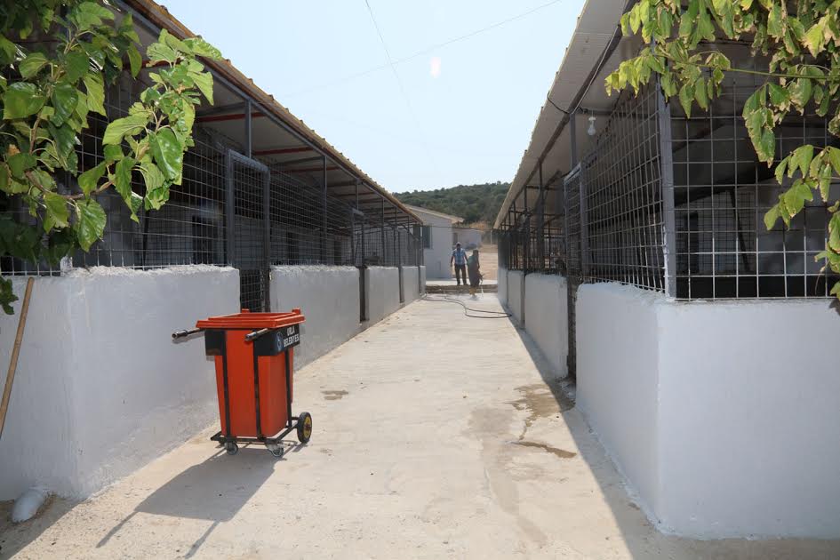 Urla Belediyesi Hayvan Barinagi Artik Tam Donanimli