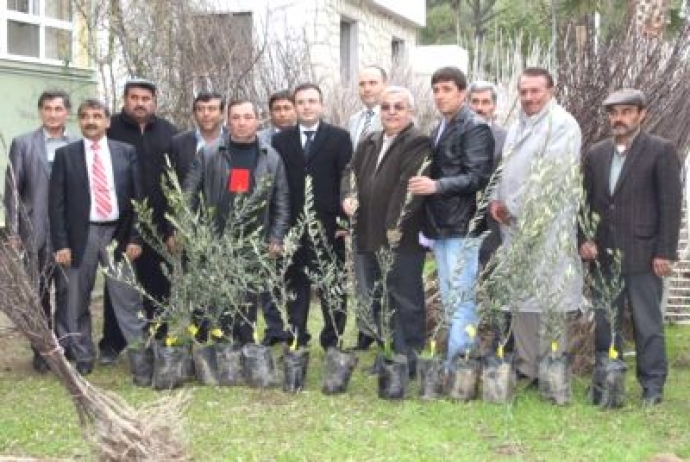 Yeşil kuyucak daha da yeşillenecek