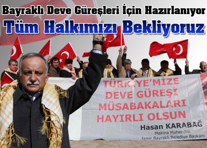Bayraklı Deve Güreşleri için hazırlanıyor Bayraklı Deve Güreşleri için hazırlanıyor
